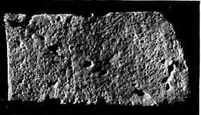 Curd from a tainted milk. Large, irregular mechanical holes; small pinholes due to gas
