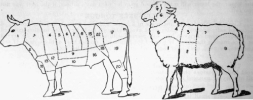 Cuts of Meat and Their Uses 36