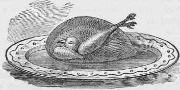 PARTRIDGE.