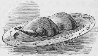 PIGEONS TRUSSED.