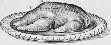 ROAST DUCK.
