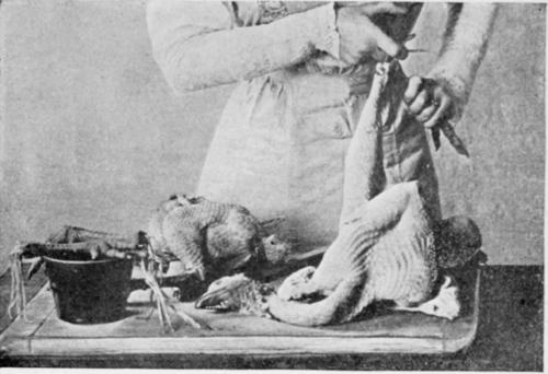 Removing the Tendons from Turkey. Page 111.