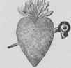 Breasts Of Woodcocks A La Vatel Ailes Ou Filets De 427