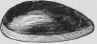 Chicken Fillets Or Breasts A L Ecarlate Filets Ou  377