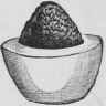 Garnishing Of Hard Eggs In Chaudfroid Garniture D 511