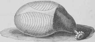 How To Carve Hot Ham Pour Decouper Un Jambon Chaud 37