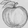Pears Or Apples In Surprise Poires Ou Pommes En Su 731
