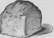 Recipes For Sandwiches Sandwichs 229