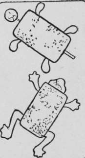 Turtle Sandwiches.