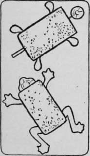 Turtle Sandwiches.