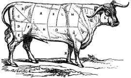 A Bullock marked as cut into joints by the Butcher