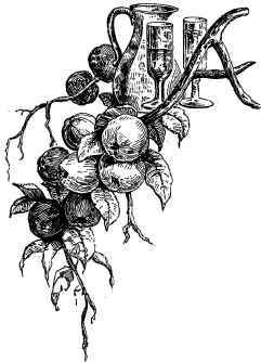 Confectionery, Preserved Fruits, Etc