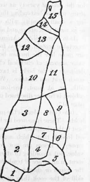 Diagram of Cuts of Beef