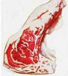 TIP OF SIRLOIN.