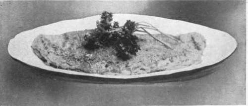 Chicken Omelet