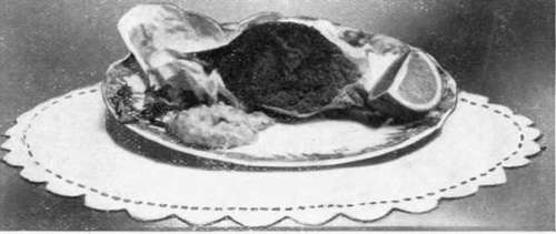 Crab Scalloped In Shell Garnished With Lettuce And Lemon