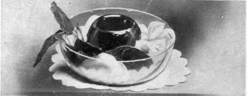 Mould Of Jelly Garnished With Roses