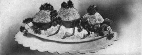 Stuffed Tomatoes Garnished With Rice And Shredded Lemon