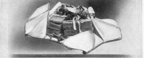 Whole Wheat Bread Sandwiches In Folded Napkin