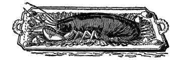 BOILED LOBSTER.
