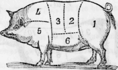 Cuts of Pork Chart