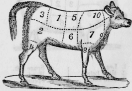 Cuts of Veal. Chart