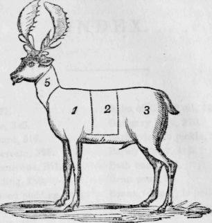 Cuts of Venison Chart