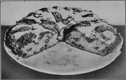 Apple Raisin Cake 33