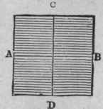 The Crown 62