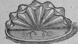 The Fan 107