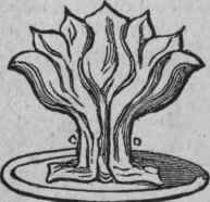 The Fleur De Lys 122