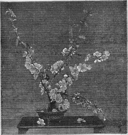 Pyrus Japonica In Metal Vase