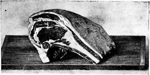 Rib Roast Of Beef
