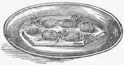 Fish Chowder 83