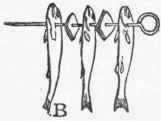 Knife For Carving Poultry And Game 33