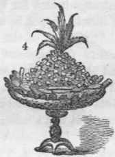 Pine Apples 146
