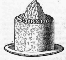804 Mazarine Of Fat Livers A La Toulouse 26