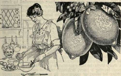 A Word to Housewives By Miss Bradley.
