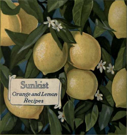 Sunkist Orange and Lemon Recipes 3