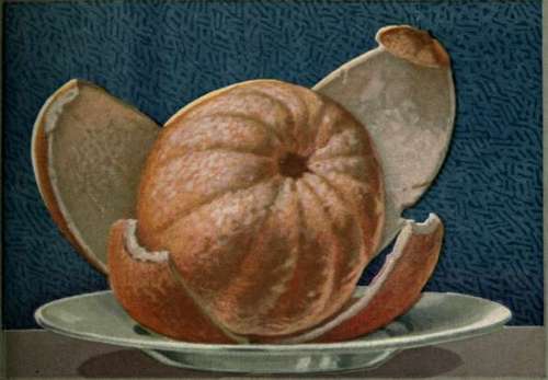 Sunkist Orange and Lemon Recipes