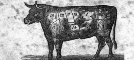 Beef Cuts