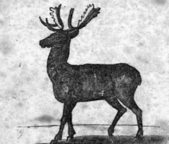 Venison Cuts