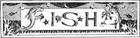 Fish 15
