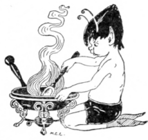 Little Cook