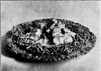 Chicken With Crisp Noodles