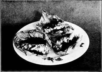 Stuffed Prune Salad