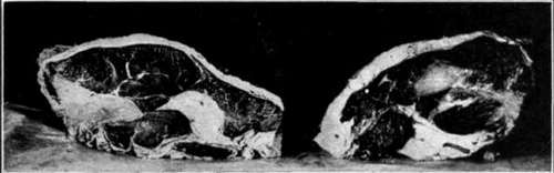 Flat bone Sirloin