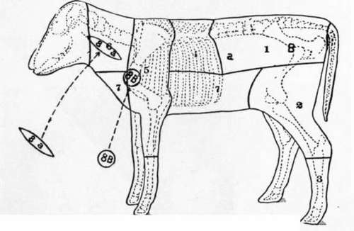 Veal 10