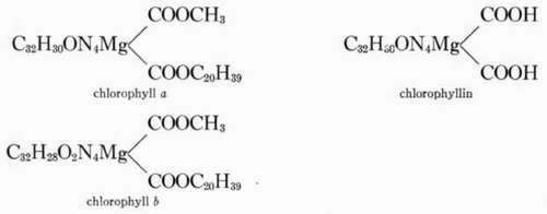 Chlorophyll