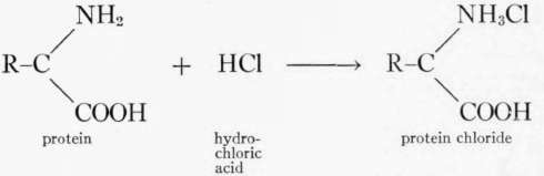 Combinations of proteins with acids or alkalies in food preparation